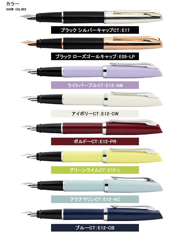 AURORA Fountain Pen Style Black CT Extra Fine Point EF E17-EF
