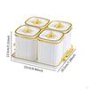 Appetizer Plate for Dried Fruits, Divided Serving Box with Lid Dining Room