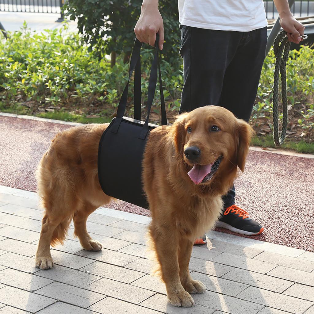 dog harness weak legs