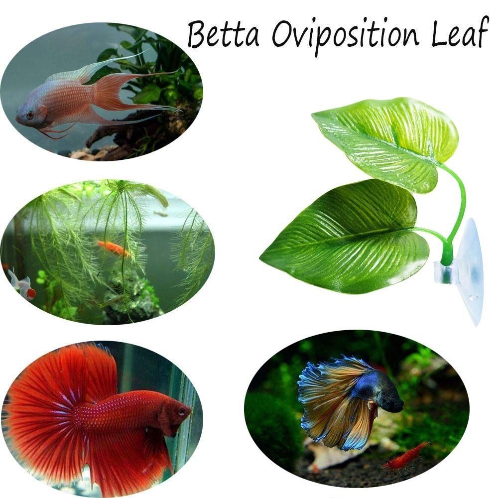 Plastic Betta Fish Leaf Pad Suction Cup Reptile Basking Area Practical Fish Hiding Habitat  Reptile
