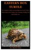 Grāmata Eastern Box Turtle : The Complete Guide On Everything You Need To Know About Eastern Box Turtles Care, Housing, Feeding, Diet And Health Care.