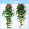 Aureum Epipremnum Simulation Ipomoea Batatas Leaves Green Plant Indoor Decorate