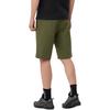 Salomon Outerpath Utility Fitted Color Block Mid Rise Casual Shorts Men shorts Grape-Leaf LC2212800