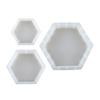 Hexagonal Resin Mold for Resin Casting Home Decoration Flower Desktop Decoration