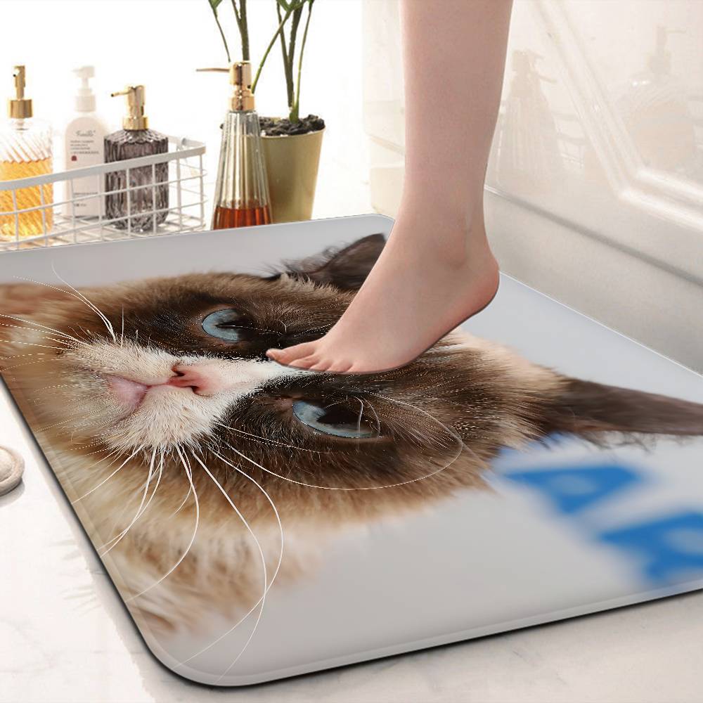 Funny CAT Meme Bathroom Mat Kids Room Bedroom Decoration Balcony Anti Slip Doormat Living Room Welcome Rug