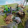 Tree Frog Figurine Realistic Toad Statue Sculpture Ornament Decoration Kids Educational Simulation Wild Animal Model Toy Toddlers Boys Girls Gift