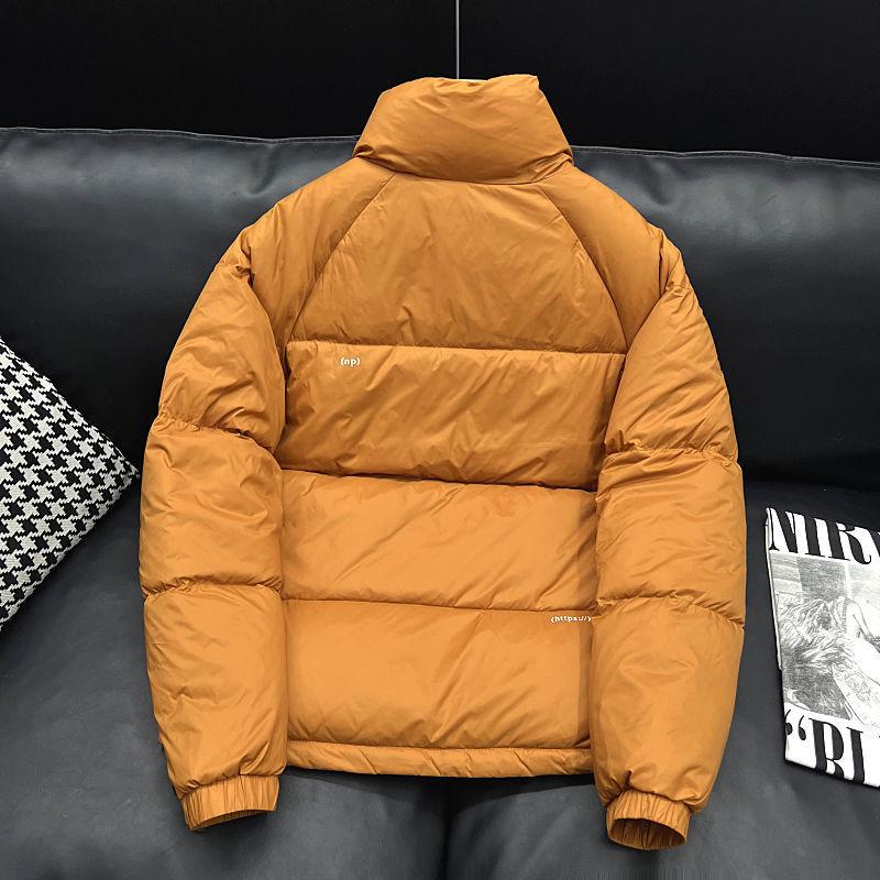 Leichte Herren-Jacke aus weißer Entendaune - Winter 2025 Jugendmode, Warmer lässiger kurzer Stil mit Stehkragen