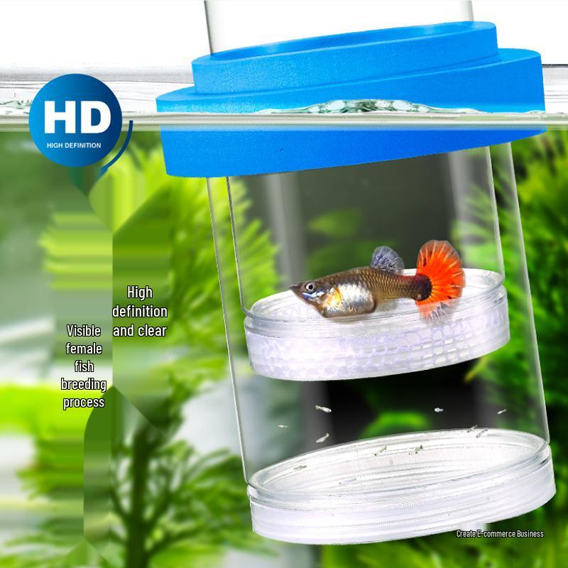 Guppy Breeding Box: Fish Isolation & Hatching Tank for Small Fish Fry & Mother Fish