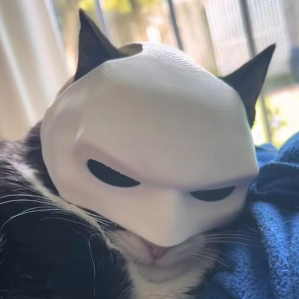 Cat & Dog Avenger Mask - Bat Design Pet Costume
