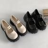 White round head thick heel platform small leather shoes women's 2025 new summer skirt versatile light mouth Mary Jane single shoes