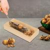 Multi-functional Manual Nut Cracker Heavy Duty With Storage Box Walnut Shelling Machine Stainless Steel Walnut Opener Pecans