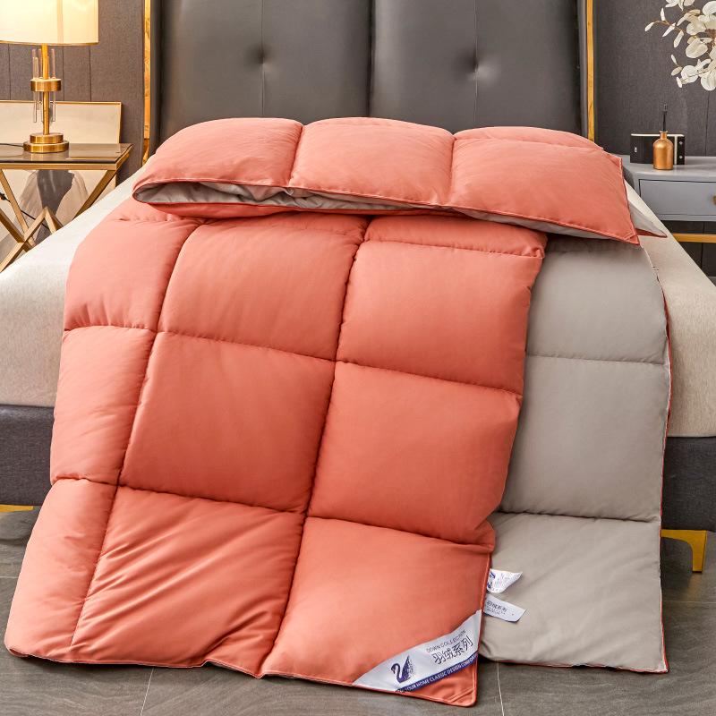 Downproof Velvet-Quilt: All-Season Comfort for Homestay and Students