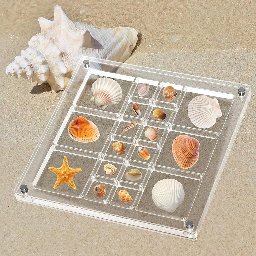 Acrylic Magnetic Seashell Display Box Large Size Seashell Storage Box Multipurpose Small Craft Organisers