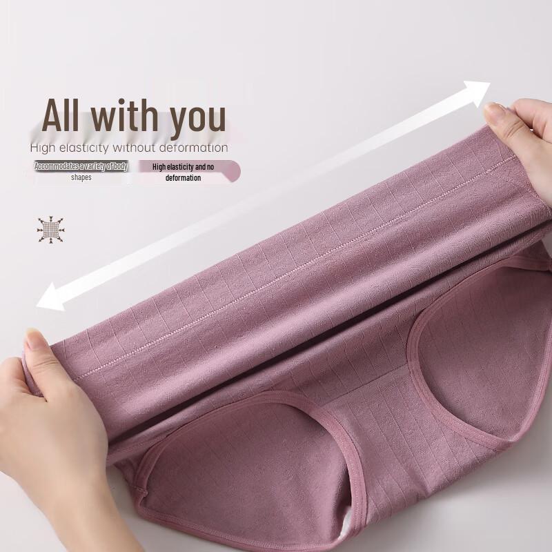 GUJIN Women's Pure Cotton High-Waist Tummy Control Briefs 4-Pack