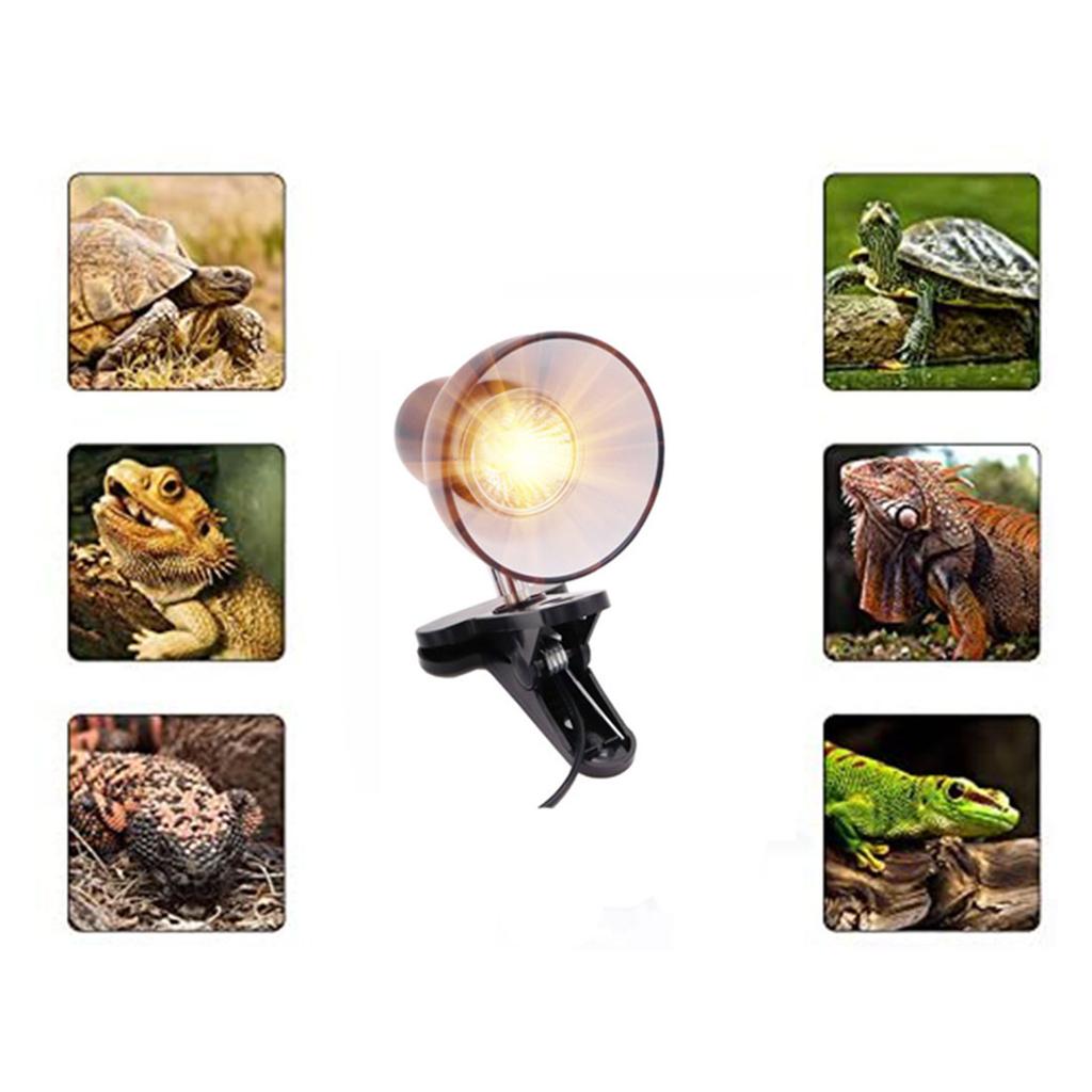 Einsteckbare Reptilien-Klemmlampe mit 360-Grad-Drehung und verstellbarer Lampenfassung für Lebensraumbeleuchtung, Wärmelampe