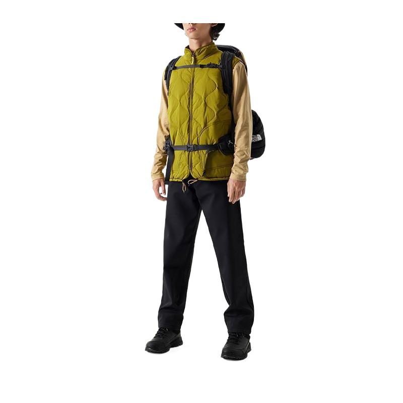 The North Face Vest Men's Light Green NF0A83SD-I0N