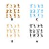 100 Pieces Kids 4-6 Years Old Simulation Model Figure Tabletop Decor Assembly Birthday Gift Living Room Office