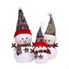 Snowman – matches the image