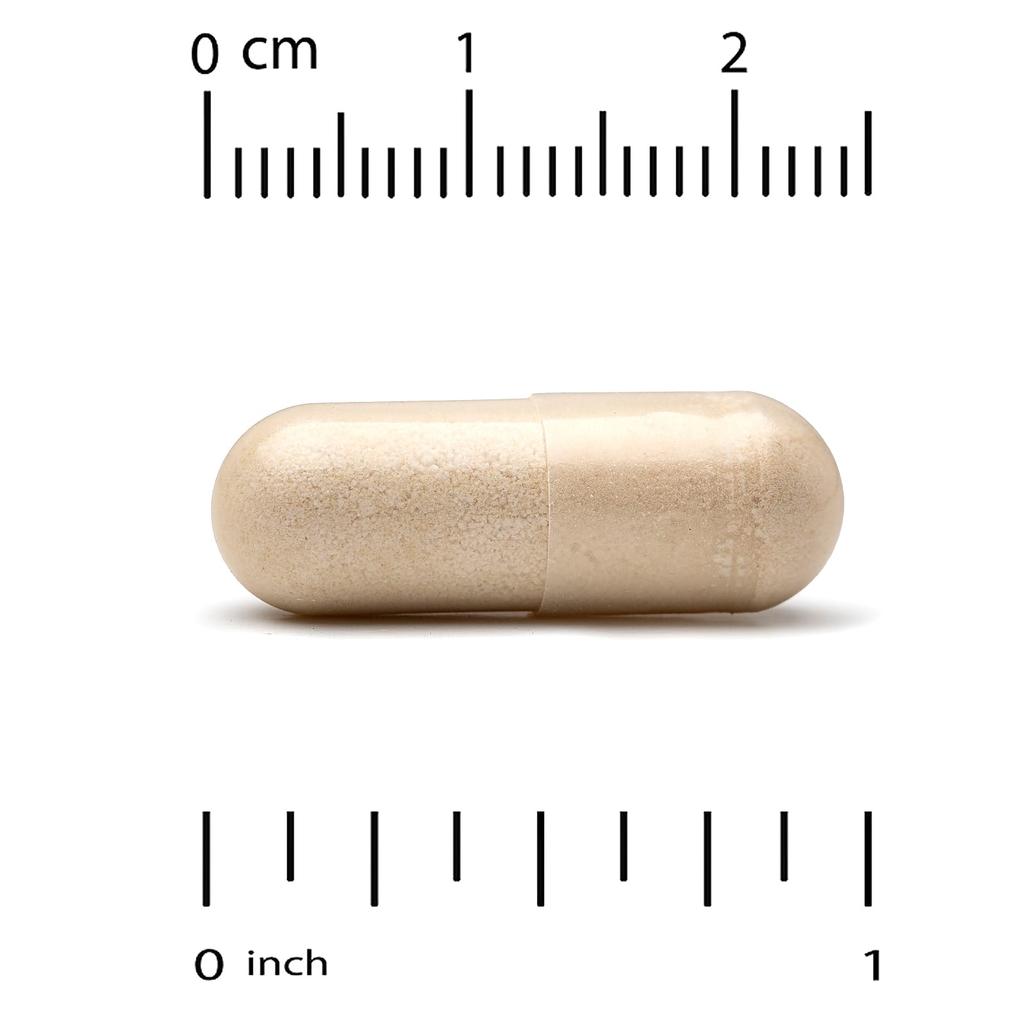 Fungiology, Mushrex Plus, Full Spectrum 10-Type Mushroom Complex, Contains Agaricus, Chaga, Cordyceps, and Reishi, 120 Veggie Caps