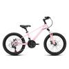 Yongjiu 24-Speed 20-inch Magnesium Alloy Youth Hybrid Bike