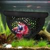 Aquarium schwebende Höhle Fisch Garnelen Versteck Unterschlupf 3-in-1 Hängematte Futterring & Ruheplatz für Betta kleine Wassertiere