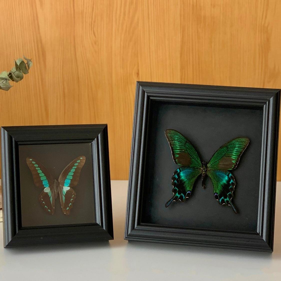 Handmade Black Butterfly Specimen Frame - Creative Birthday Gift Ornament