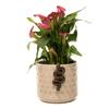 1 buc Sculptură Șarpe cu Capul în Jos din Rășină Ornament Ghiveci de Flori pentru Grădină Casă Figurine Animale Realiste Decor Casnic