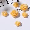 100Pcs/Set Nail Ornament Flower Shape Ice Penetration 3D Effect Resin Camellia Aurora White