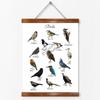 Birds Animal Educational Poster Wall Art Canvas Painting Picture Nature Study Learning Prints Kids Kindergarten Wall Room Decor