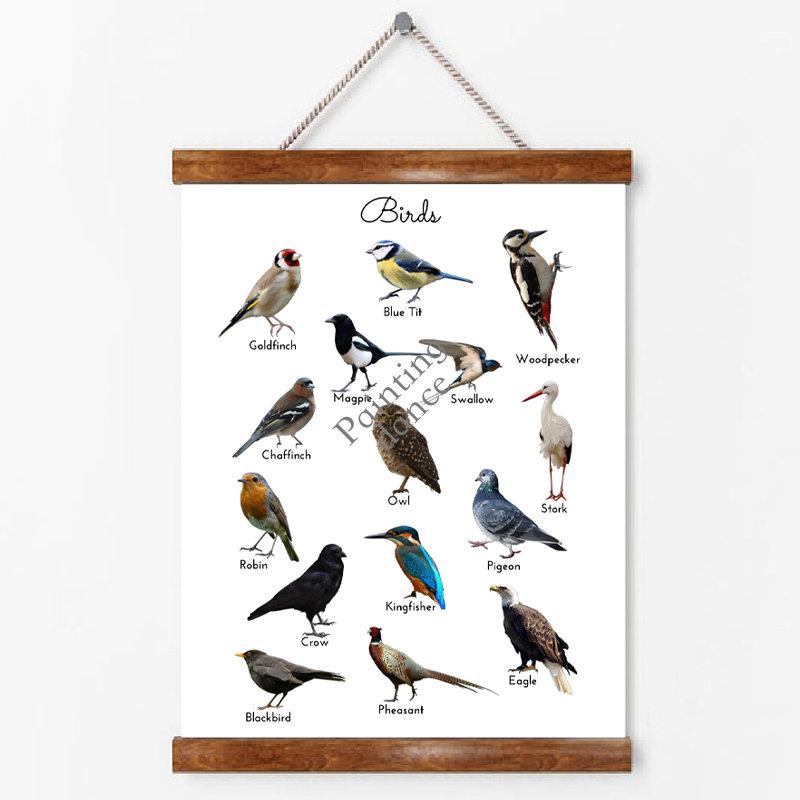 Birds Animal Educational Poster Wall Art Canvas Painting Picture Nature Study Learning Prints Kids Kindergarten Wall Room Decor