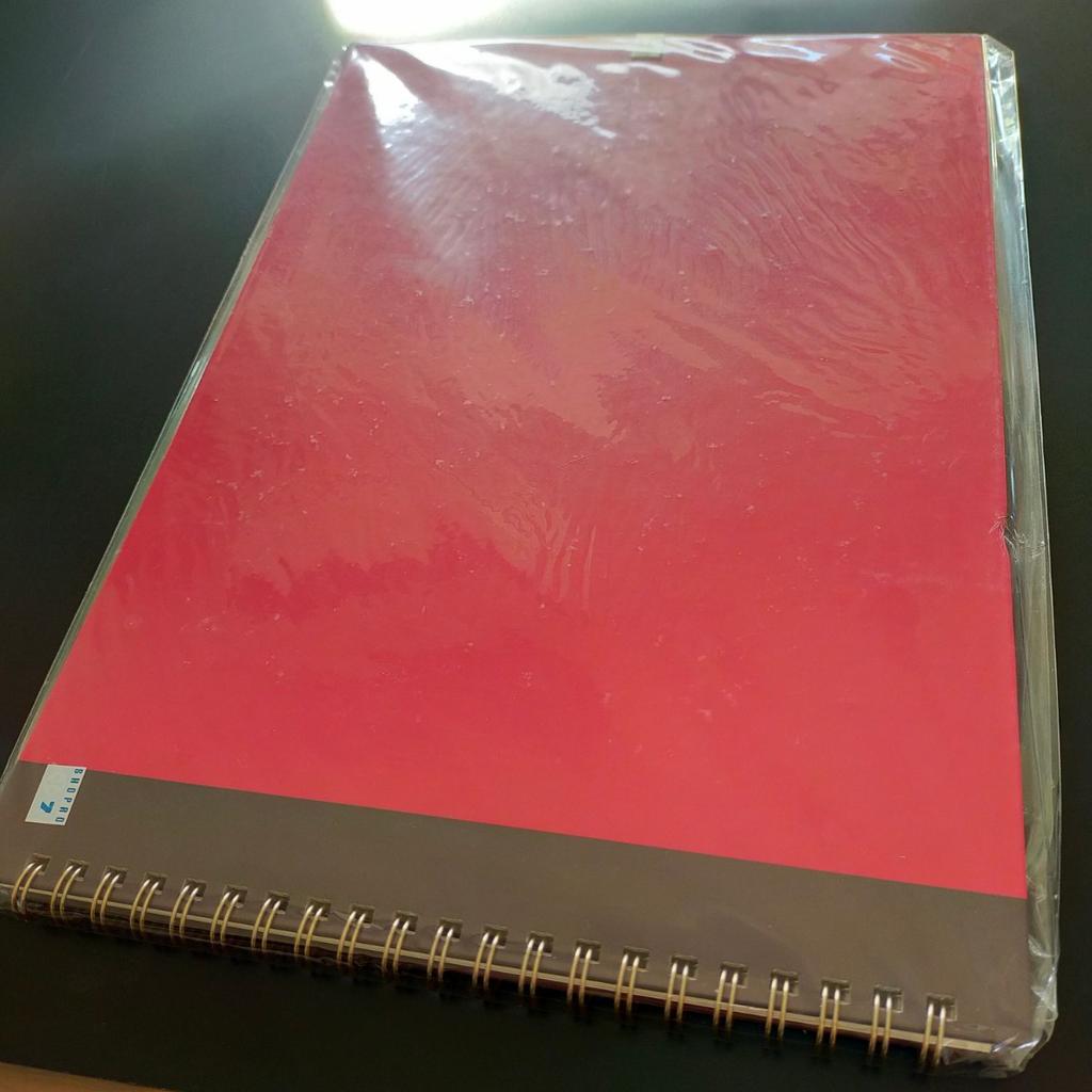 Unopened Sketchbook Guardians of the Water featuring and Latios Pokémon Kanon's (Movie Capital) Ash, Pikachu, Latias, (Advanced Generation)