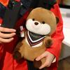 Cartoon New Doctor Otter Doll Plush Toy Doll Children's Pillow Student Graduation Season Gift Doll