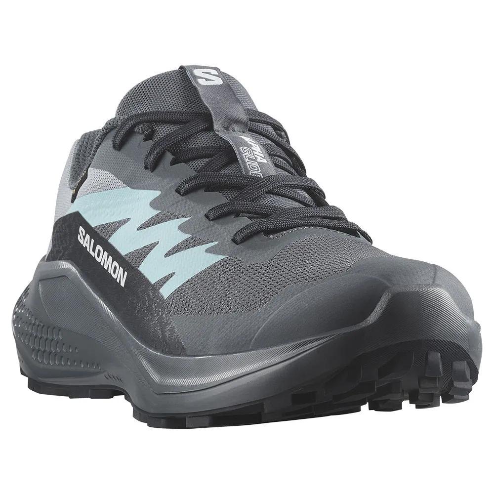 SALOMON Trail Running Sneakers Alphaglide Goretex