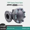 Junlun Industrial Plastic Swing Check Valve CN plug (adapter included)