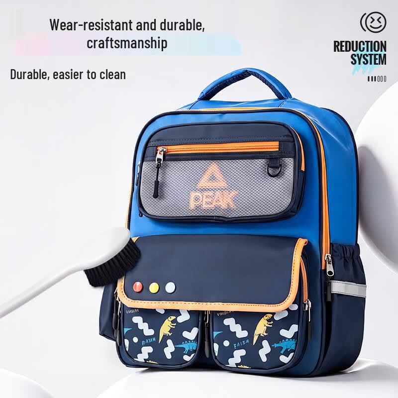 Peak Ergonomic Large Capacity School Backpack for Boys