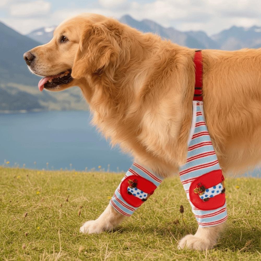 Striped Design Dog Elbow Warmers Soft Cartoon Pattern Dog Elbow Brace Thickened Comfortable Dog Knee Leg Guards Medium Dogs