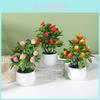Artificial Plant Decoration With Plastic Craft For Home Office Decor