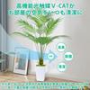 Artificial House Fake Tropical Palm Artificial House Air Inches Plants, Green, Trees, Flowers, Trees, Photocatalyst, Purifier, Deodorizer,