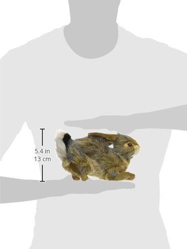 BH6284 HANSA Black-tailed Rabbit 25