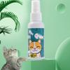 Gatos – Cuidados de gatos