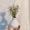 Wedding Photo Backdrop Mini Pressed Small Dried Flowers Babysbreath Bouquet Gypsophila Dry Flower