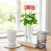 Hydroponic Flower Vase Transparent Vertical Grained Glass Design Vase Reusable PET Modern Nordic Style Vase for Flowers Pothos