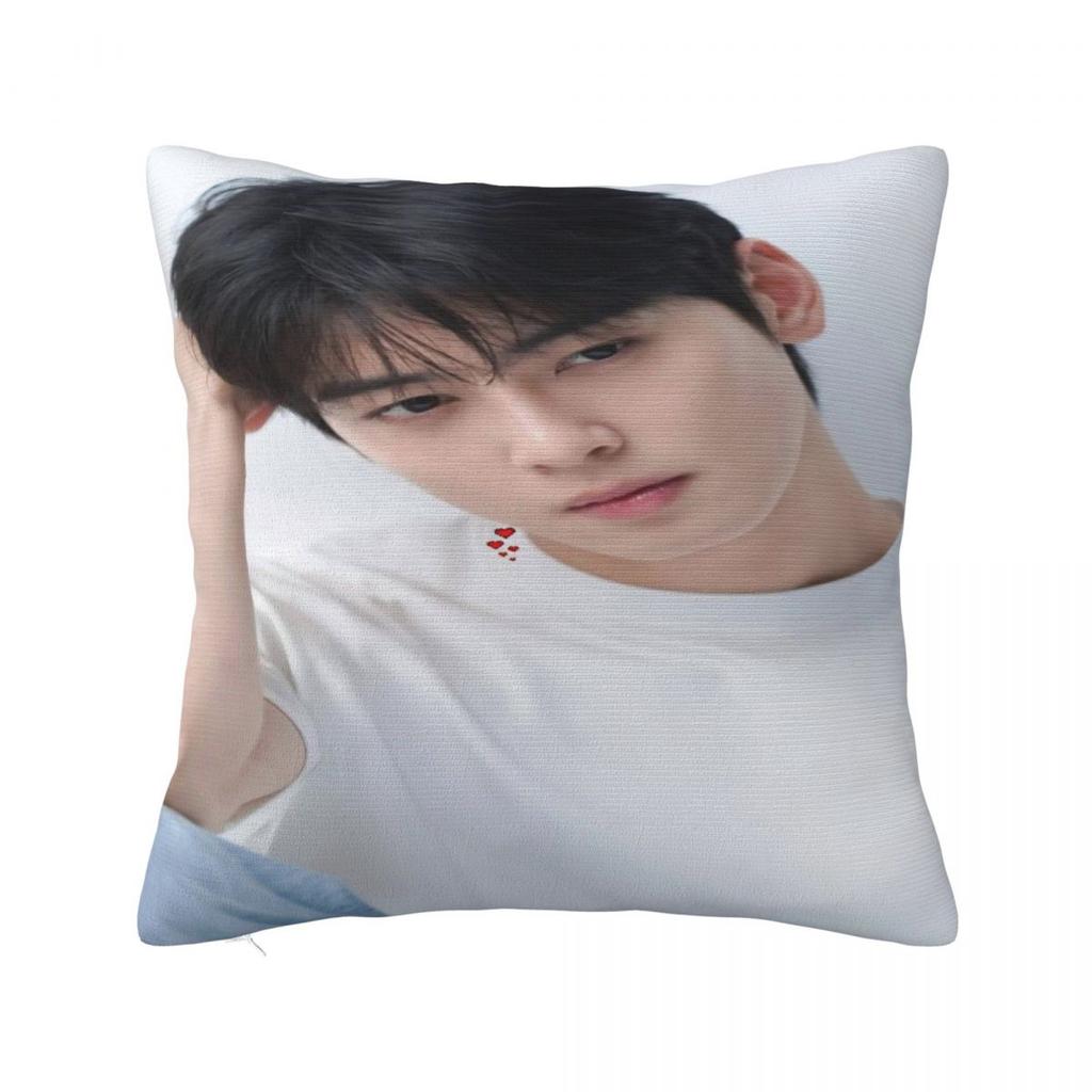Cha Eun Woo Pillow Cover Soft Pillow Case Cushion Cover Vintage Design Pillowcases For Sofa Bedroom Home Decor
