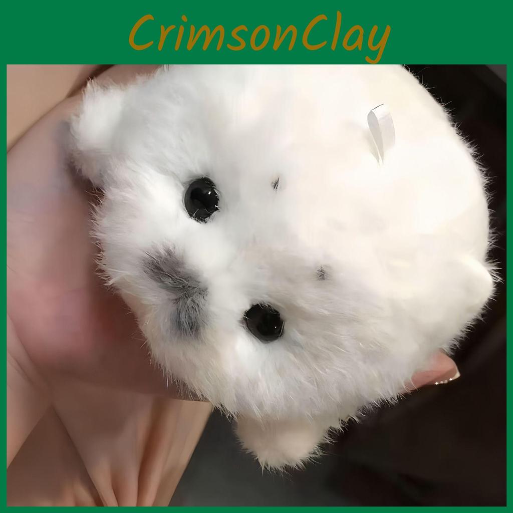 Meeressäuger Plüschtier Schlüsselanhänger Stofftierpuppe Für Kinder Sammler Und