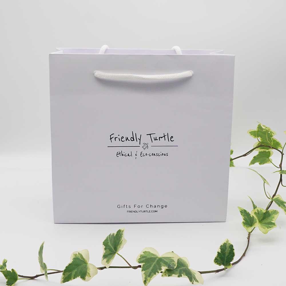

Friendly Turtle Gift Bag