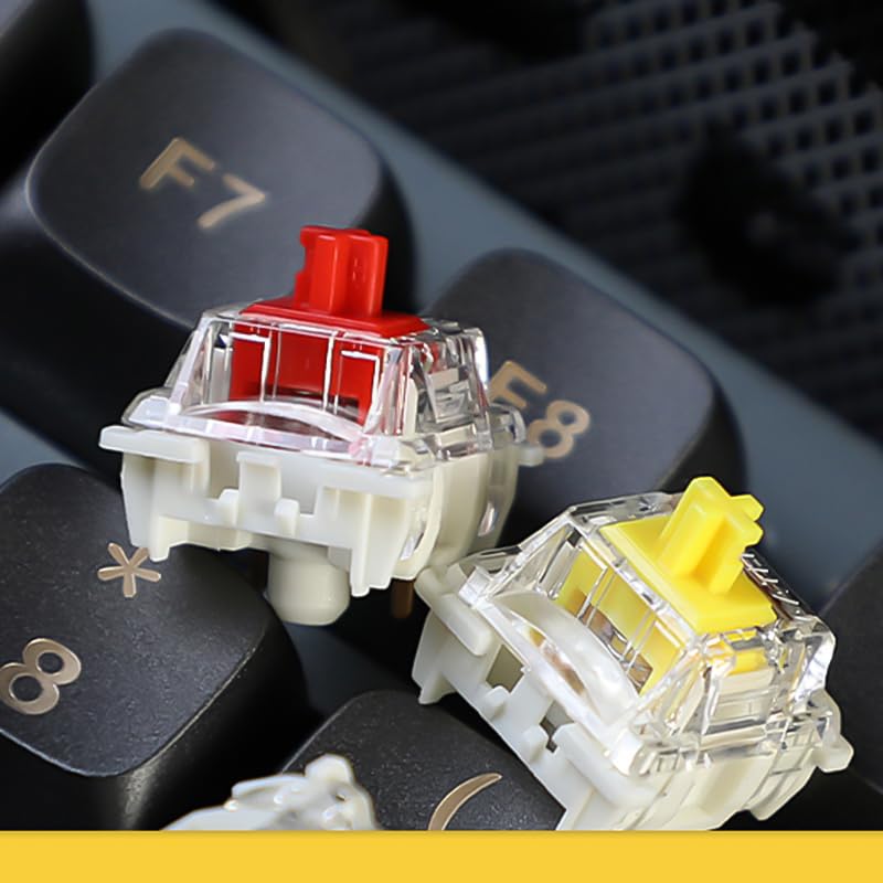 Gateron Pro Switch G PRO Red 3.0, 3-Pin Pre-Lubricated RGB Yellow, Red, Brown Compatible with MX Mechanical Keyboards (36 Red Switches)