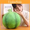 Soft And Cuddly Watermelon Plush Pillow Blanket For Office Nap