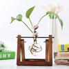 Vintage Glass Vase Transparent Hydroponic Plant Vase with with Wooden Stand for Tabletop Home Decor