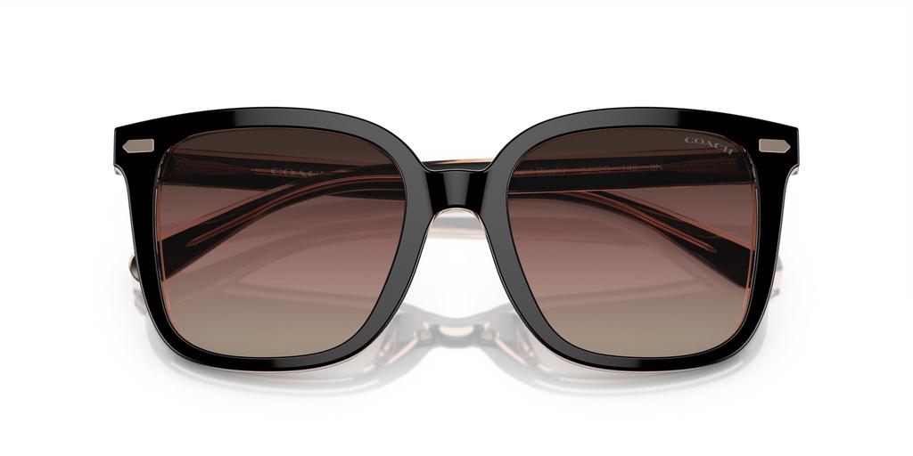 Coach HC8381F CL919 BLUSH 56 Women's Sunglasses, BLACK/TRANSPARENT