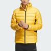 Adidas Terre Waterproof And Windproof Windbreaker Jacket Men's Black IL8988